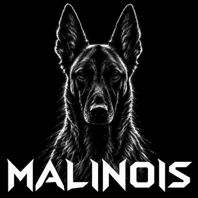 Malinois cover